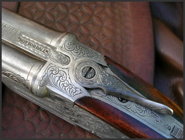 Quail Hammerless Shotgun, by Reigel Gun Engraving